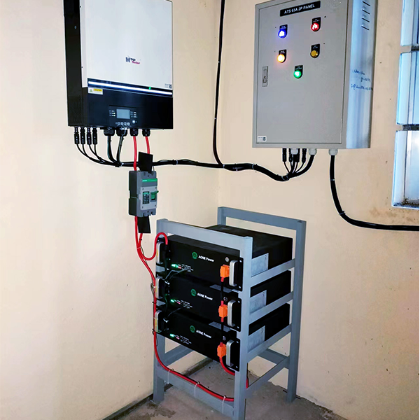 The development of the south african market